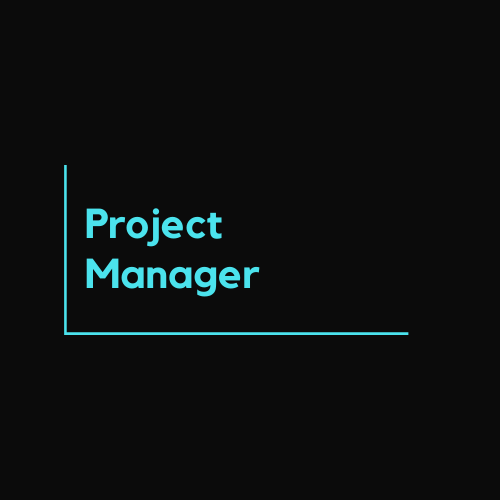 Project Manager